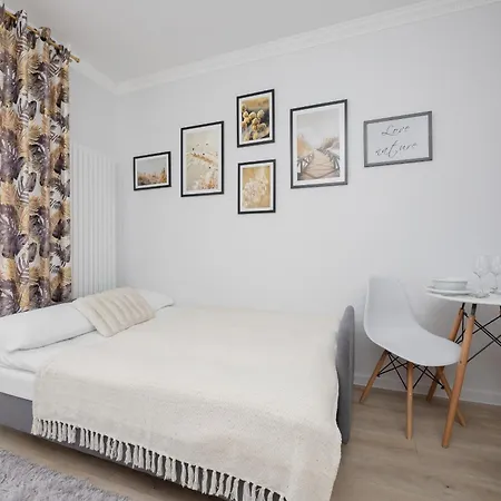 Modern Studio With Balcony By Rent Like Appartement