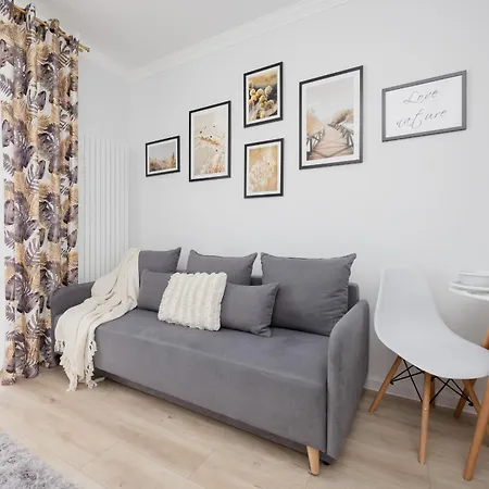 Modern Studio With Balcony By Rent Like Apartment *