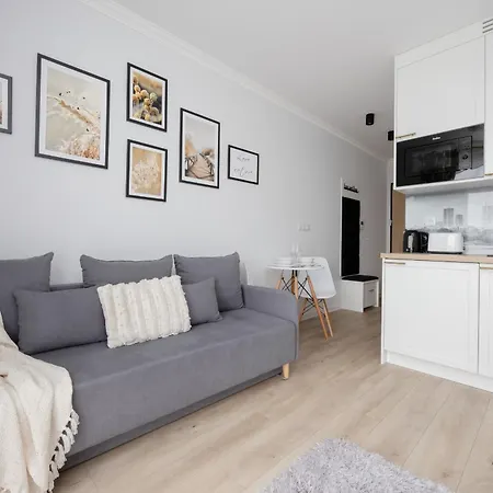 Modern Studio With Balcony By Rent Like * 华沙