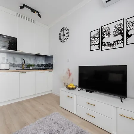 Modern Studio With Balcony By Rent Like Apartment *